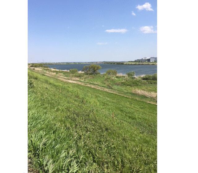 土手が目の前、広々とお散歩も気持ちいいです