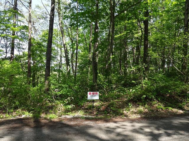 【不動産ジャパン】物件詳細:長野県上水内郡信濃町大字野尻/黒姫駅の物件情報:売地