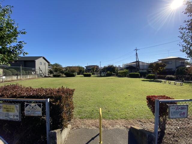 道路向かいには公園があります