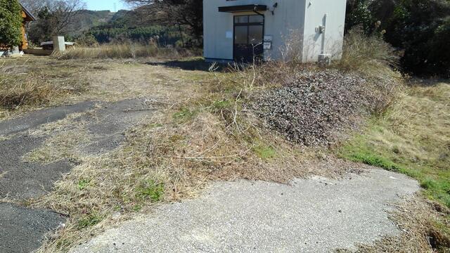 入口（間口ｍ）