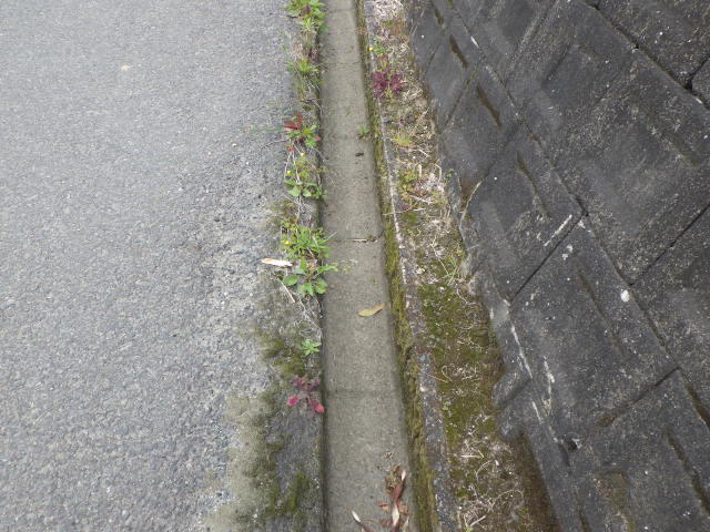 側　溝