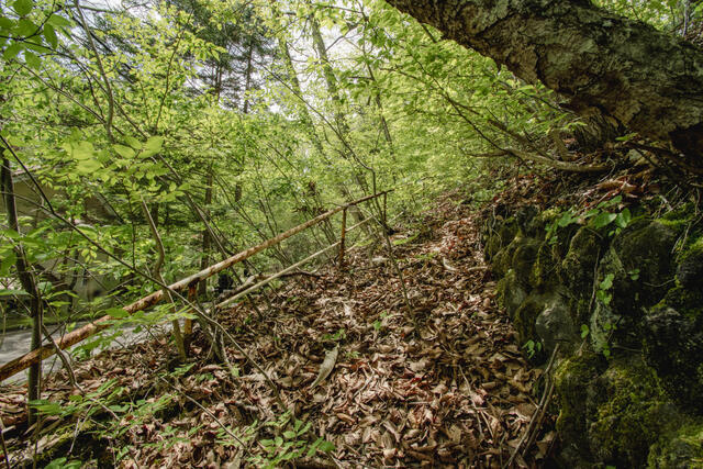 古家部分へのアプローチ（階段）