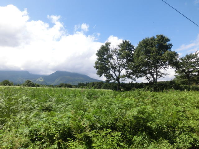 景　観