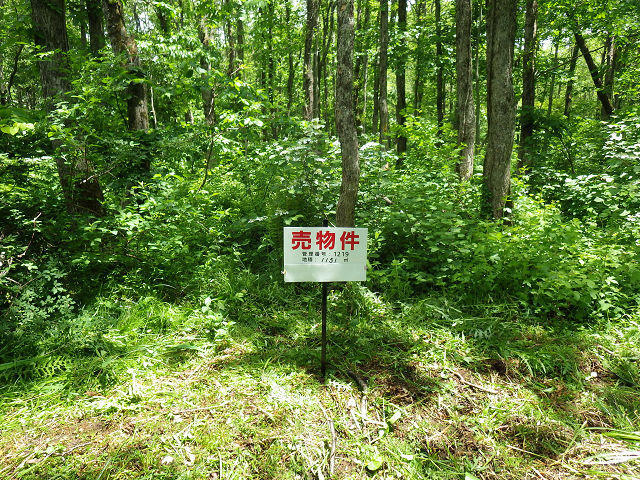 【不動産ジャパン】物件詳細:福島県耶麻郡北塩原村大字桧原字簗部沢山/猪苗代駅の物件情報:売地