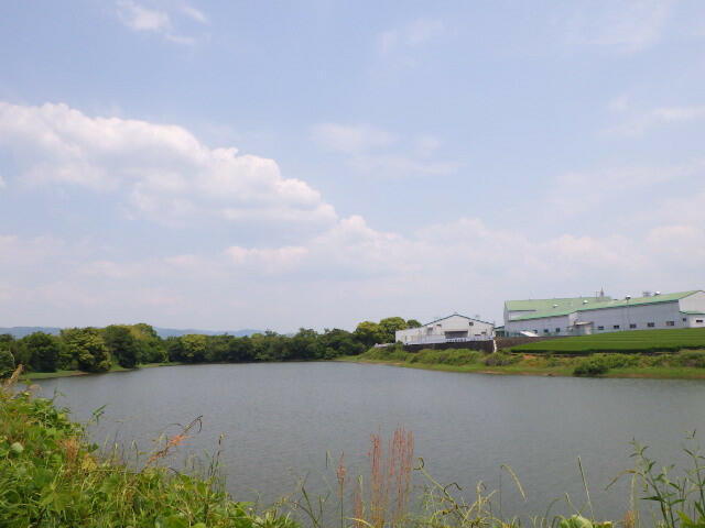 景　観