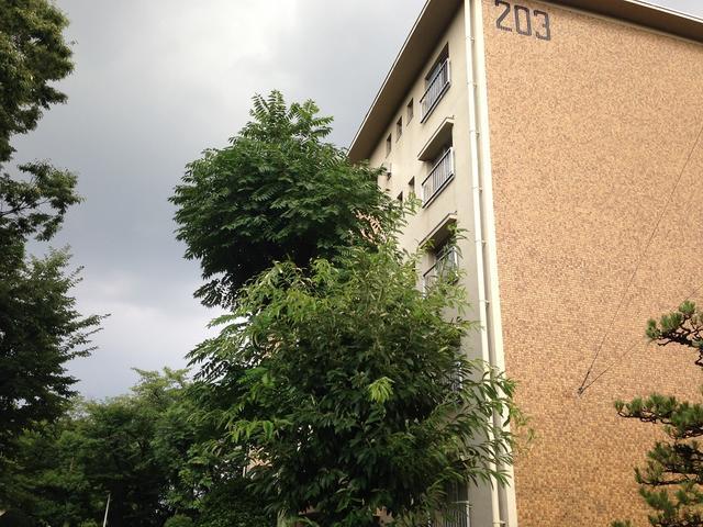 売公団住宅 江南団地