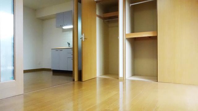 洋室よりＬＤＫ収納開