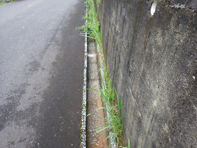 側　溝
