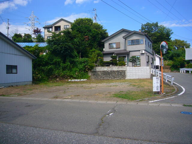 県道からの全景(東側)