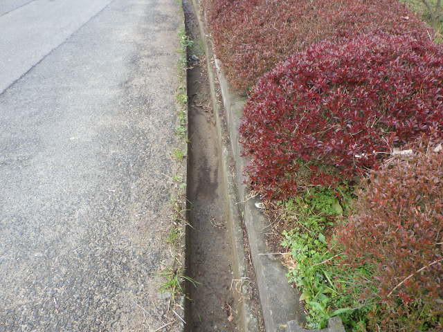 側　溝