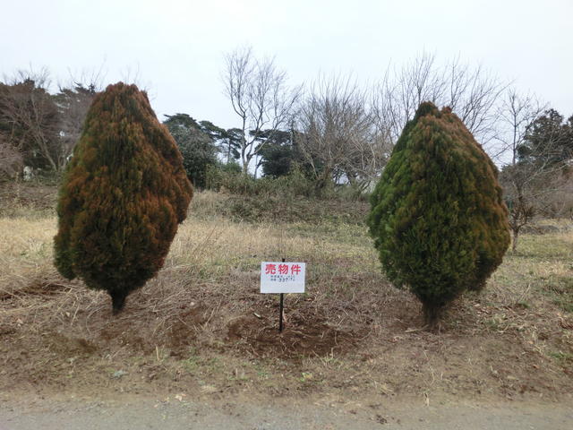 【不動産ジャパン】物件詳細:群馬県前橋市粕川町中之沢/粕川駅の物件情報:売地