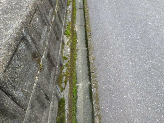側　溝
