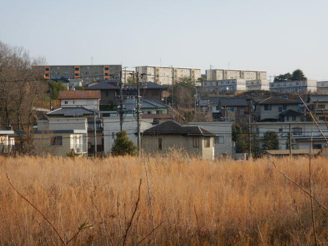 景　観