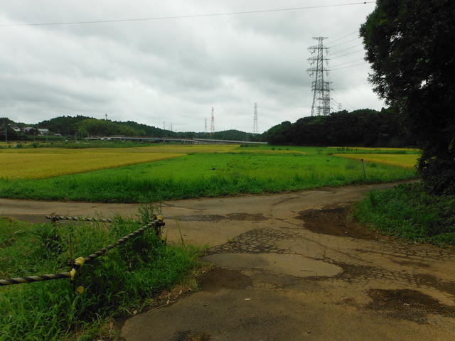 道路より本物件を見る。