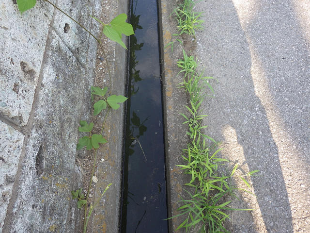 側　溝