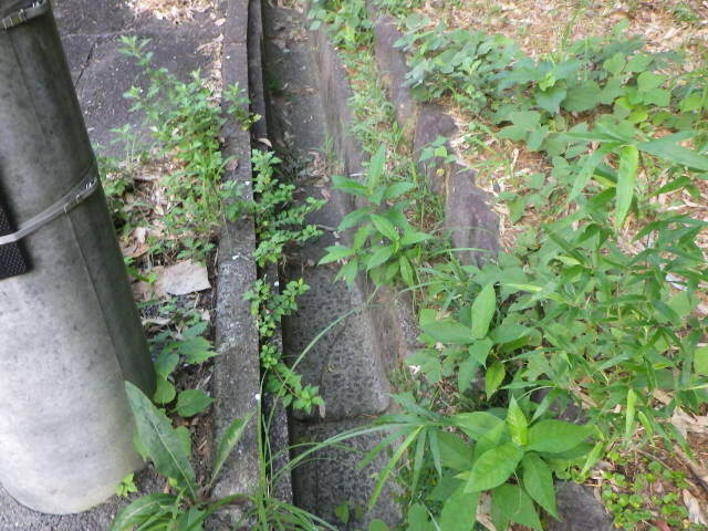 側　溝