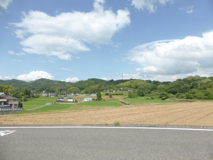 周辺はとてものどかな所です