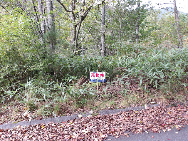 【不動産ジャパン】物件詳細:長野県下伊那郡平谷村/為栗駅の物件情報:売地