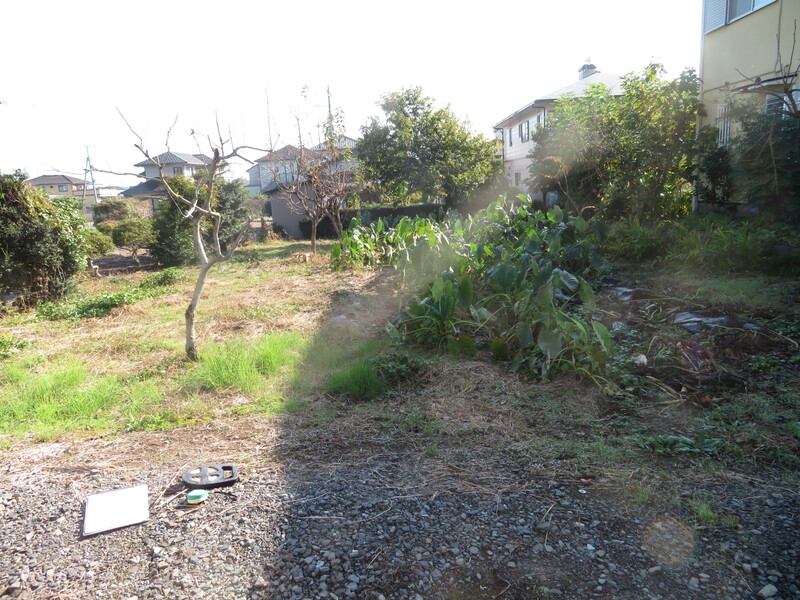 敷地正面2