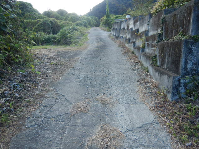 北側道路