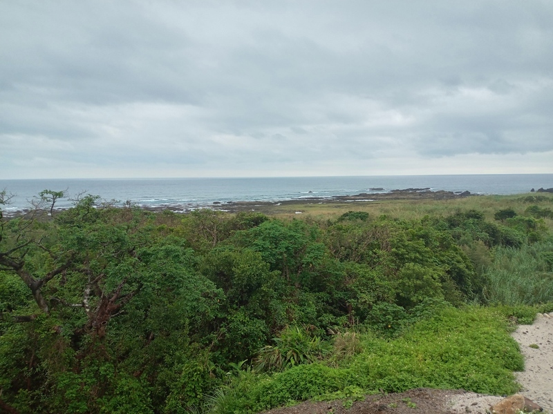 敷地~海の間に電線は見えません