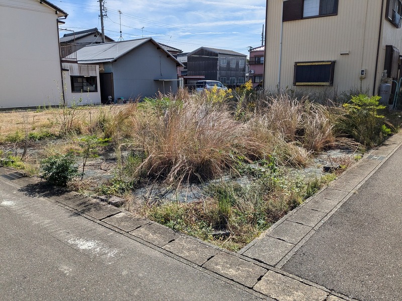 北西からの写真