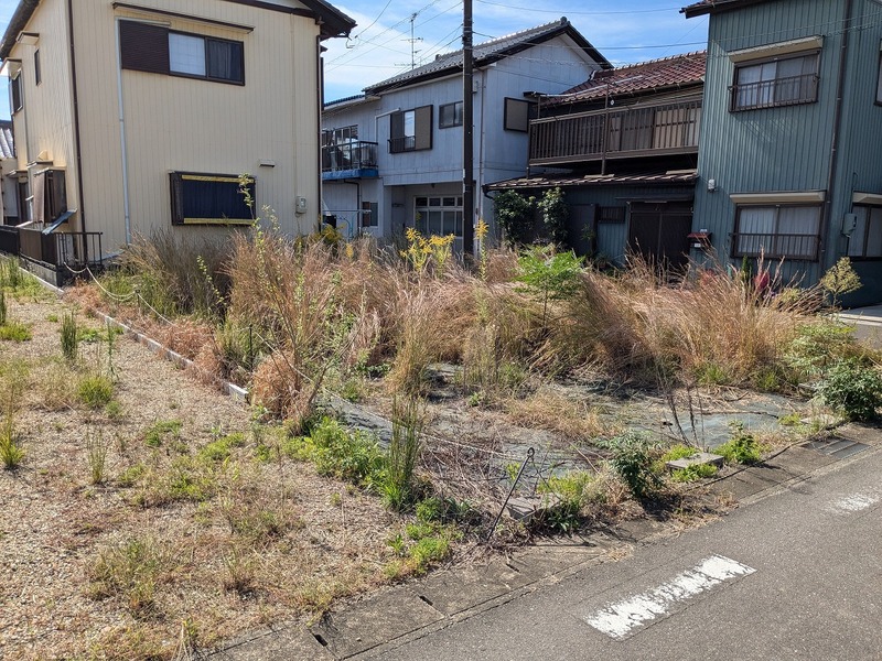 北東からの写真