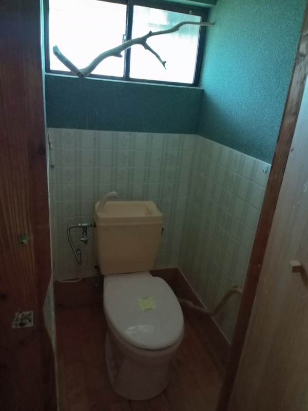 Flush toilet　/　फ्लस शौचालय