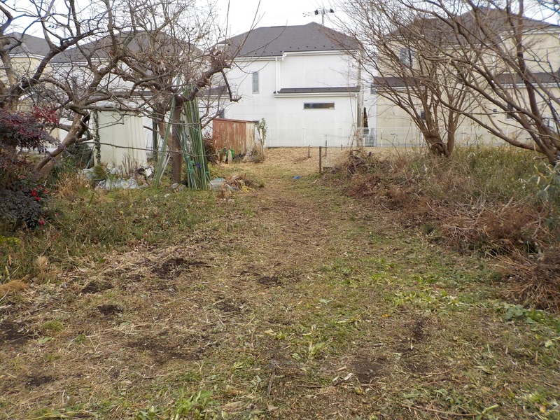 私道越しに本物件を見る。