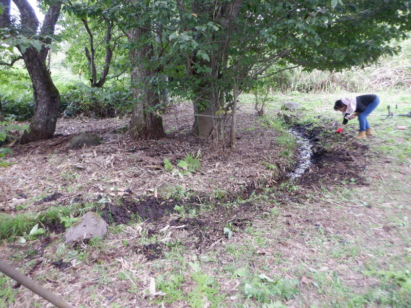 敷地内に小川が流れています・・・
