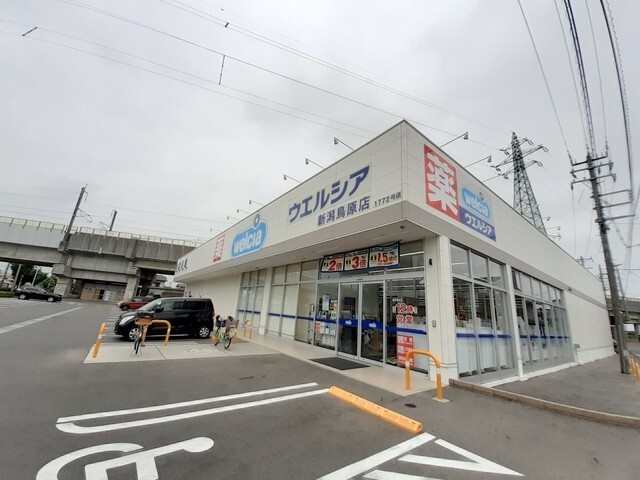 ウエルシア新潟鳥原店