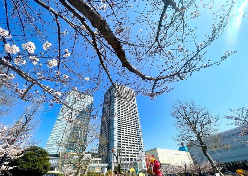 いつでもご見学は可能です♪