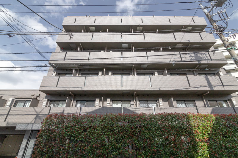 ルーブル中野新井 203