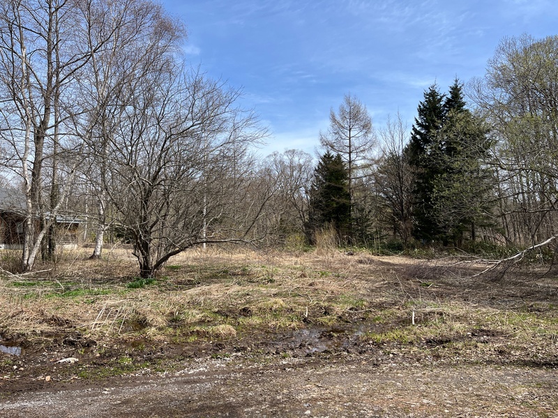 敷地全景（私道から）