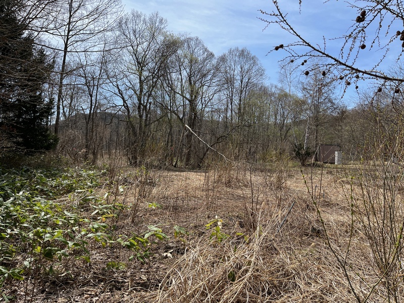 敷地全景（敷地内から）