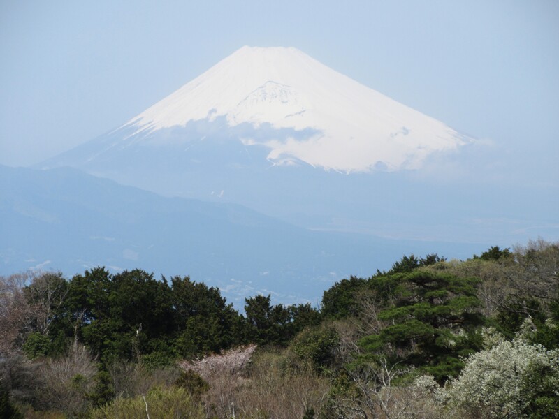 敷地内からの景観