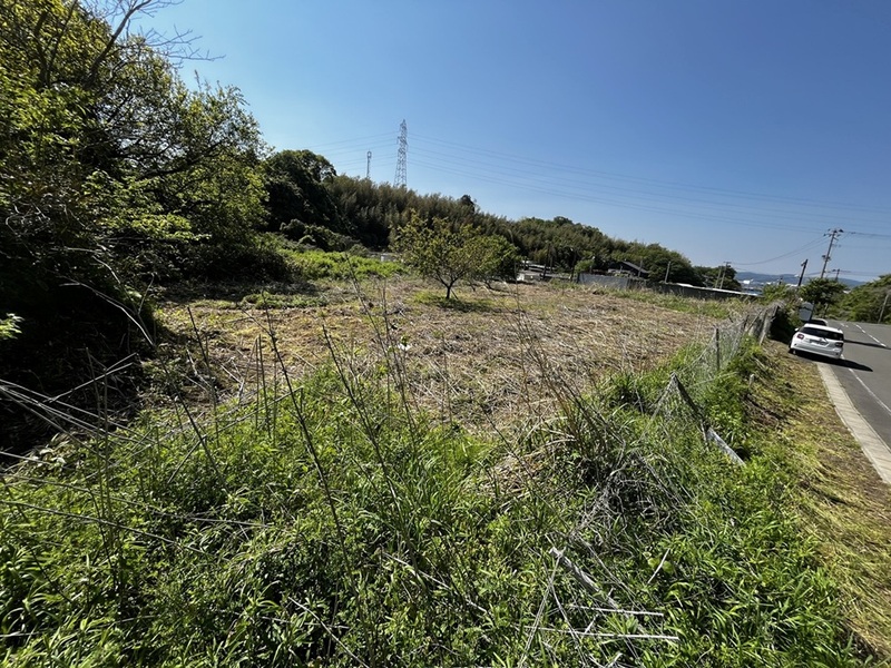 現地調査をお勧めします