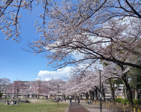 足立区立花畑公園