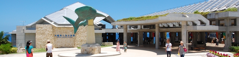 美ら海水族館