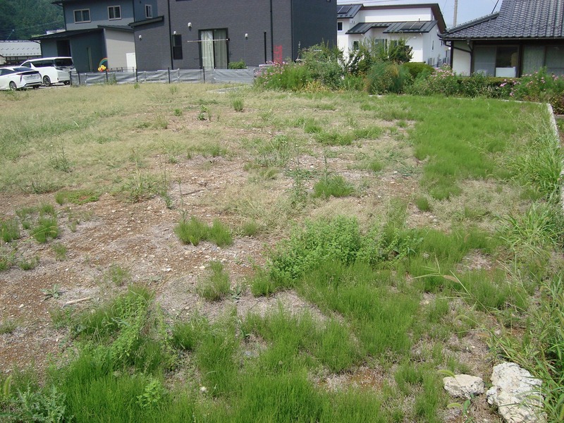 南側からの写真