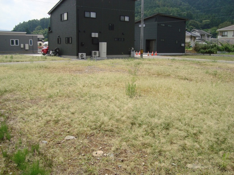 北側からの写真