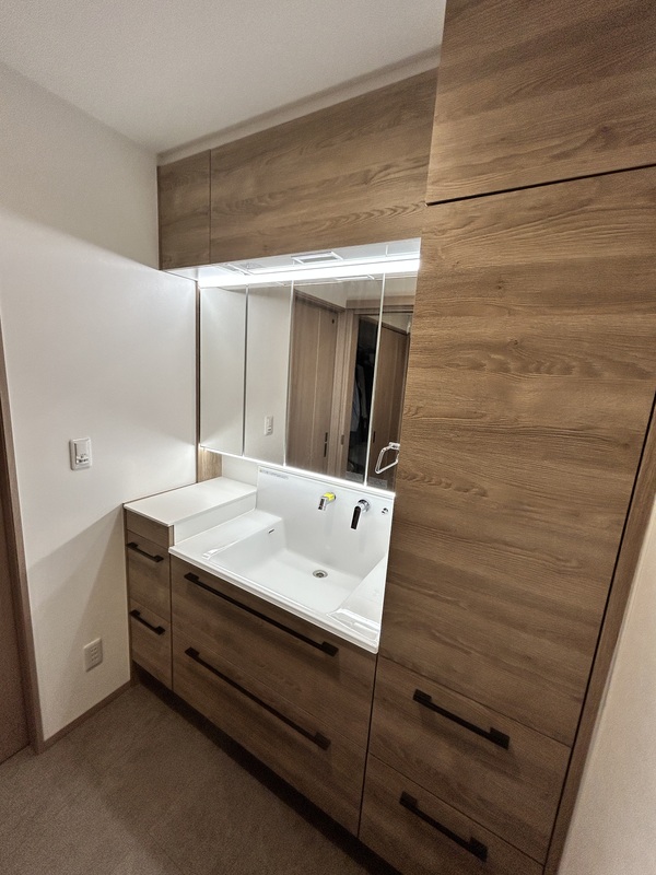 収納大容量 洗面化粧台