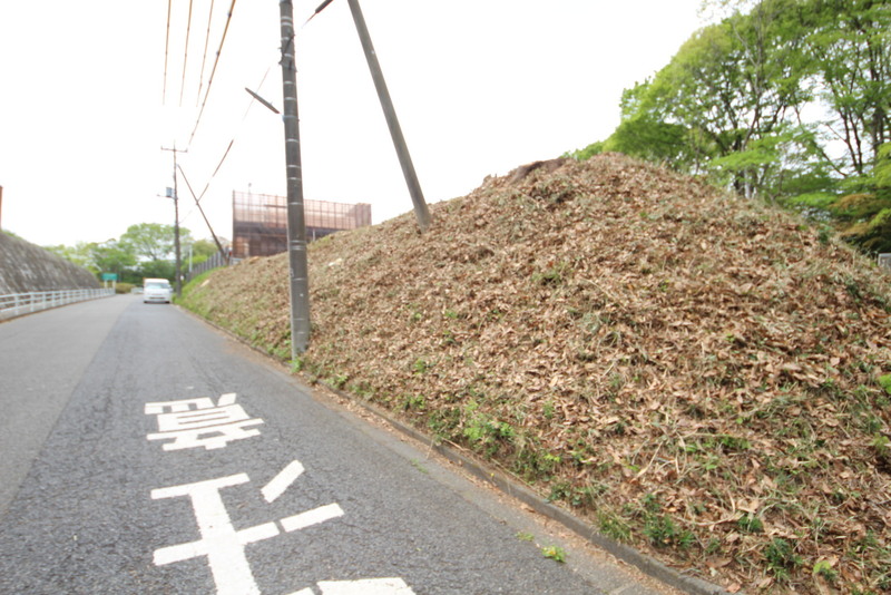 眺望良好です。