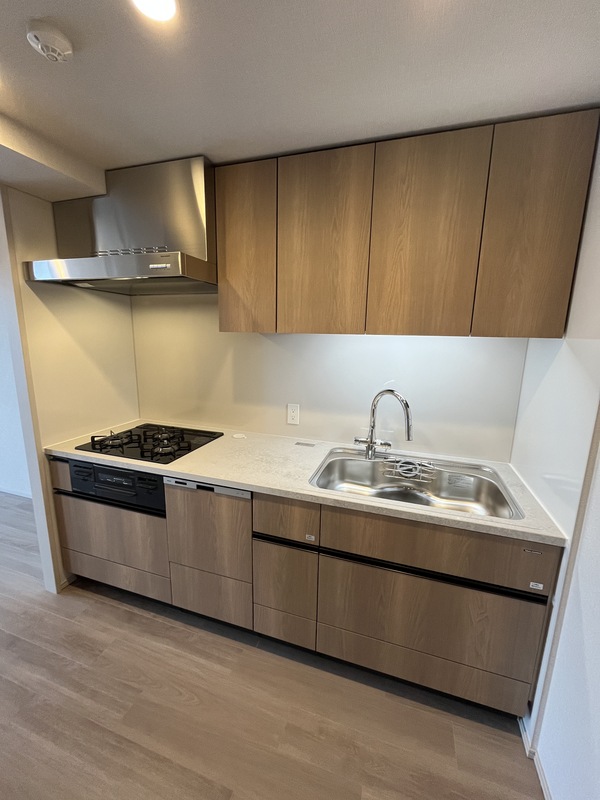 浄水機能付きキッチン