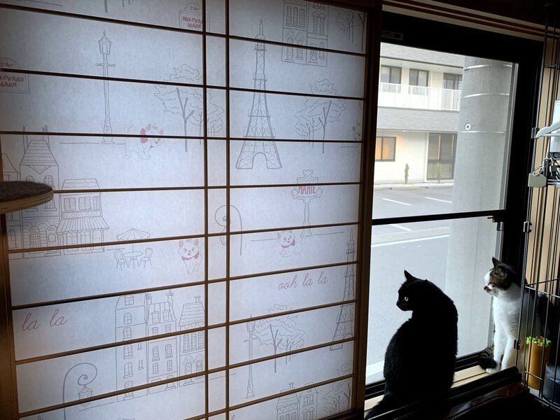 一階和室。東側花壇に面したお部屋です。