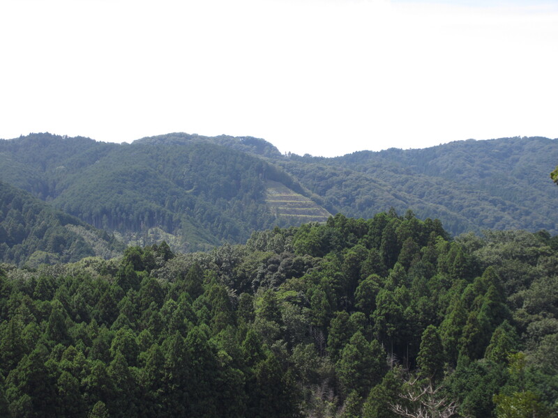 敷地内からの景観