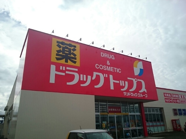 ドラッグトップス巻店
