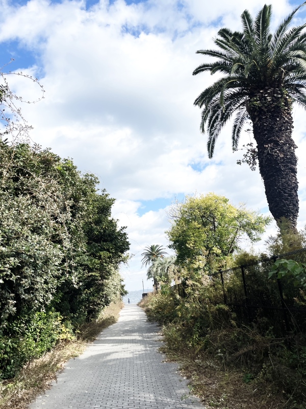 観音崎ボードウォーク