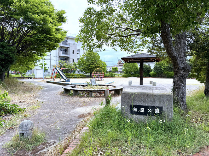 公園