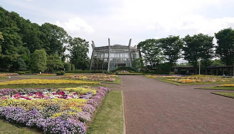 川口市立グリーンセンター